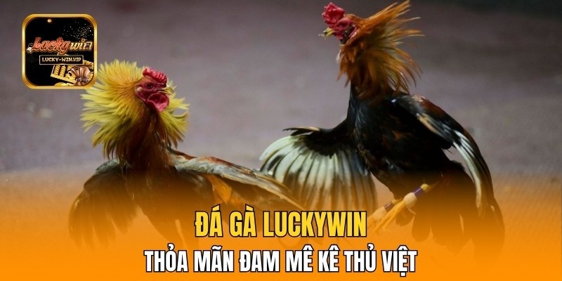Đá gà Luckywin thỏa mãn đam mê kê thủ Việt