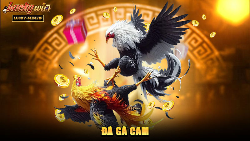 Đá Gà Cam