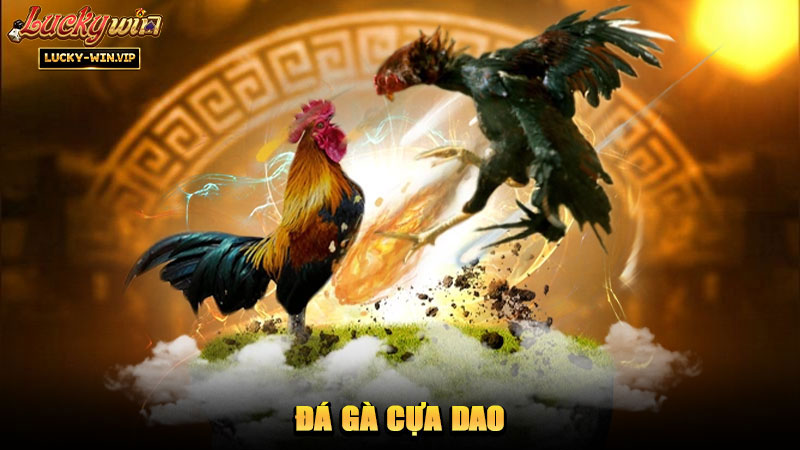 Đá Gà Cựa Dao