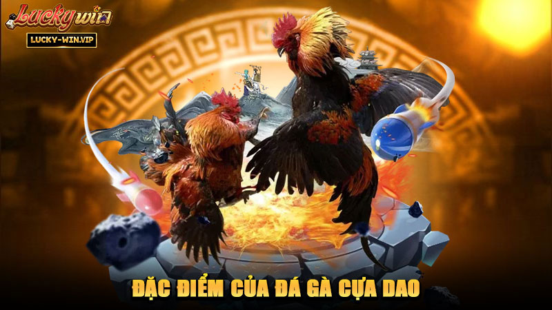Đặc điểm của đá gà cựa dao