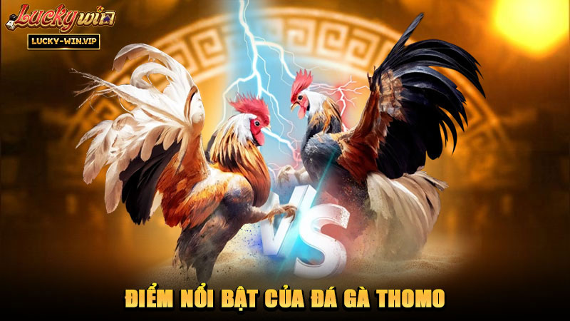 Điểm nổi bật của đá gà Thomo